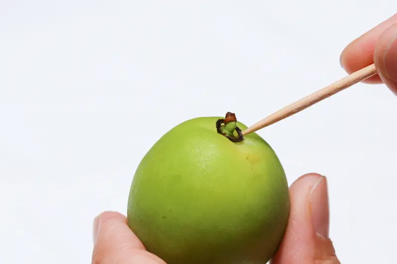 Nanko-ume green plums